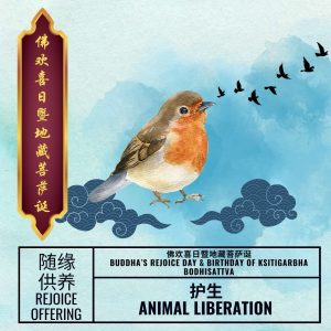 随缘供养 Rejoice Offering:<br> -护生 Animals Liberation