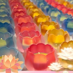 盏莲花灯 Lotus Lamp